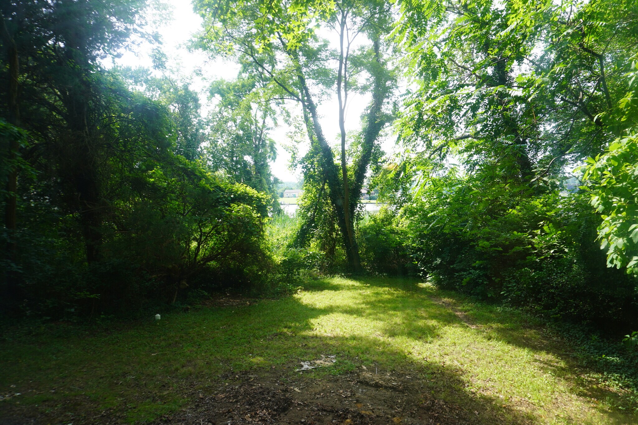 Building Photo - 2214 Vandermast Ln