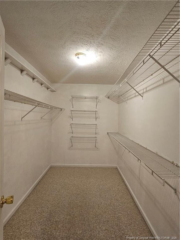 Building Photo - 7800 Trappers Rd