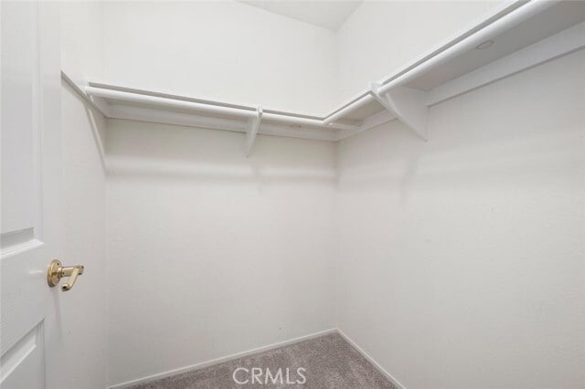 Building Photo - 10648 Porto Ct