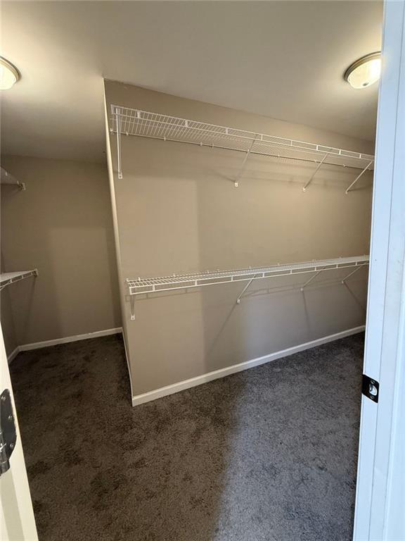 Building Photo - 3369 Hidden Stream Ct