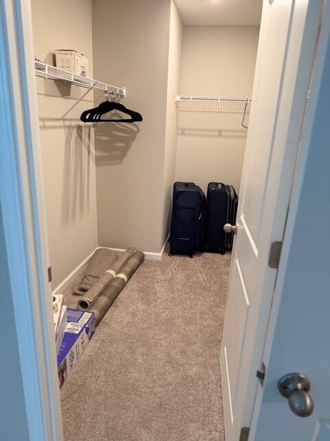 Building Photo - 1391 Little Rodeo Pl