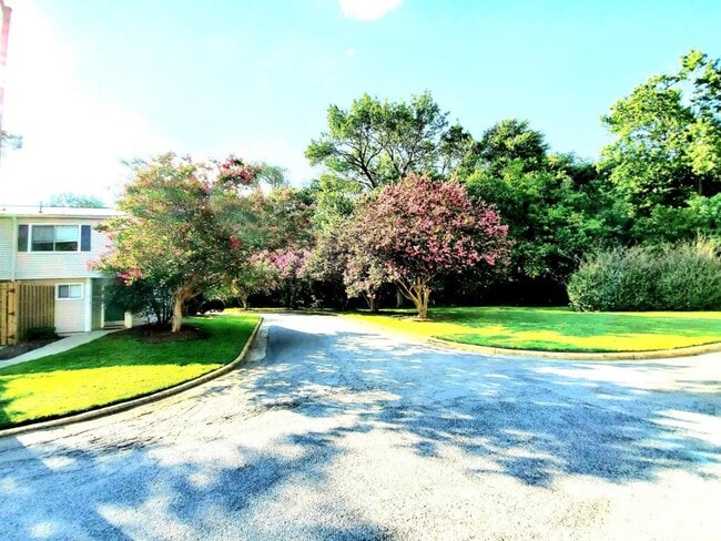 Building Photo - 220 Elizabeth St