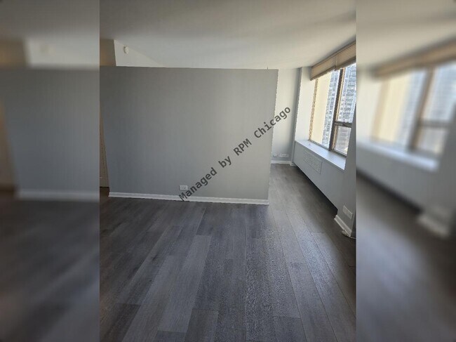 Building Photo - 1455 N Sandburg Terrace