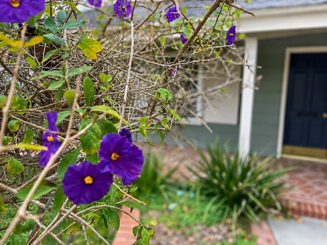 Building Photo - Spacious Corner Lot Home in Desirable Ventura Neighborhood!