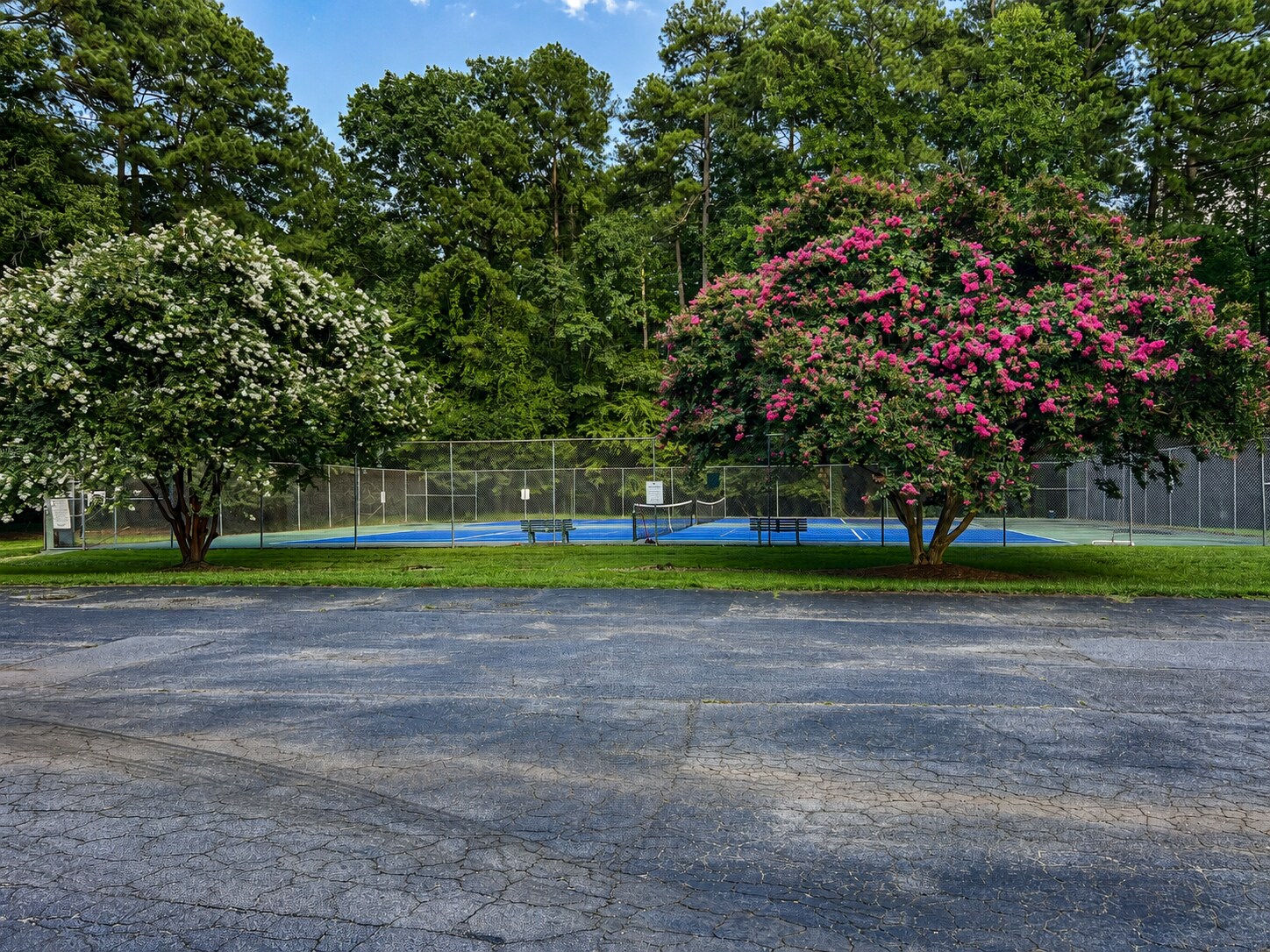 Tennis/pickleball courts. - 5484 Pine Top Cir