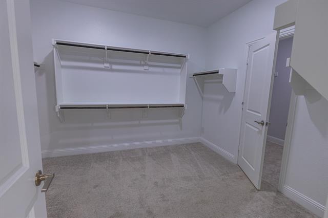 Building Photo - 3211 Ashlar Ct