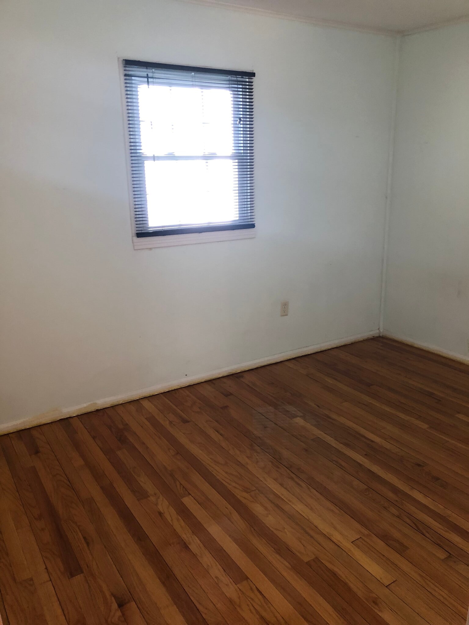 Building Photo - 1007 Cameron Ave