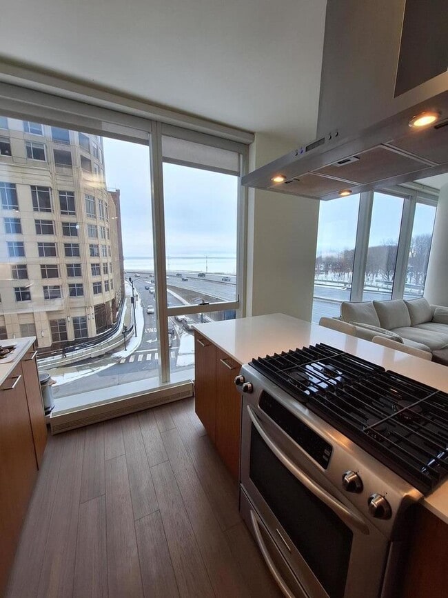 Building Photo - 500 N Lake Shore Dr