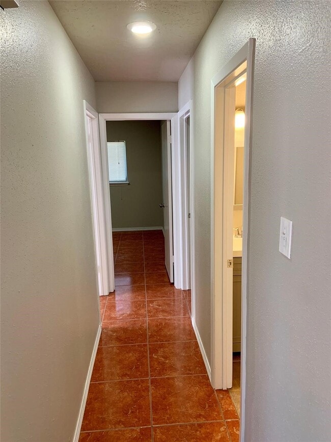 Building Photo - 11003 Panicum Ct