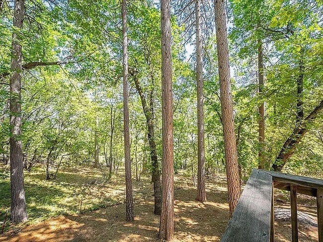 Building Photo - Craftsman Retreat in Camino – Updated 4BR Home on Quiet Lot!