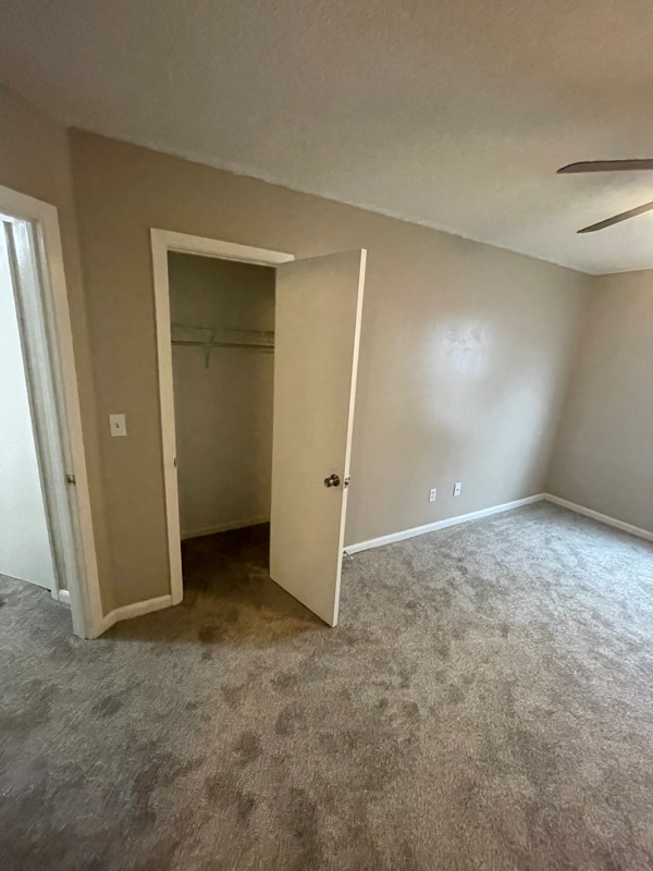 Building Photo - 314 Olympia Ct