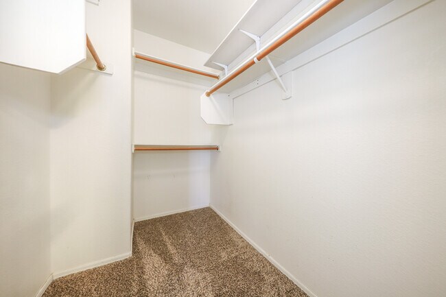 Building Photo - 8070 N Wild Aster Way