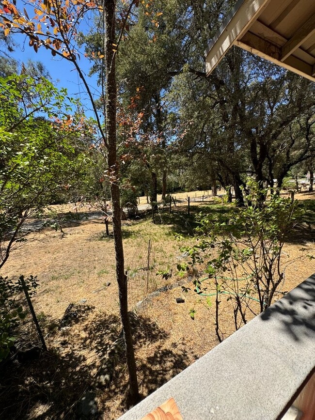 Building Photo - Cute Cottage just outside Nevada City- Pea...