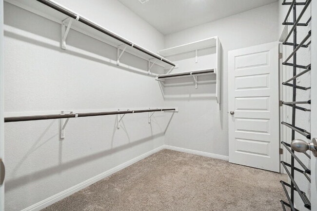 Building Photo - 19322 Amore Bluff