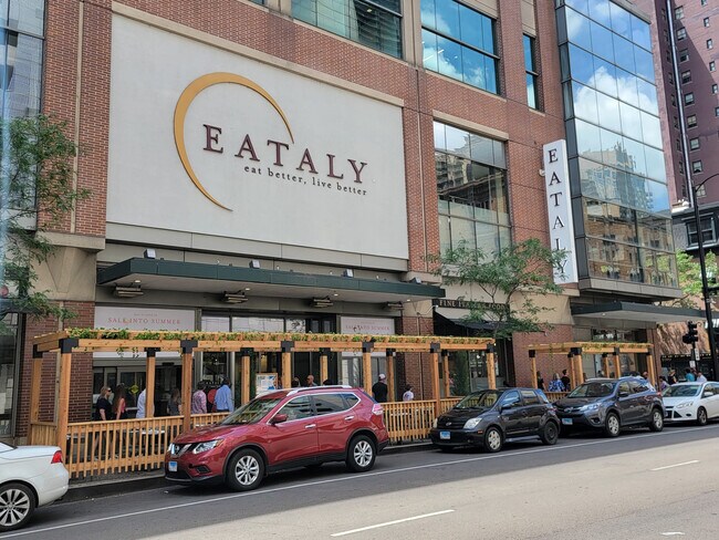 Building Photo - 45 E Chicago Ave