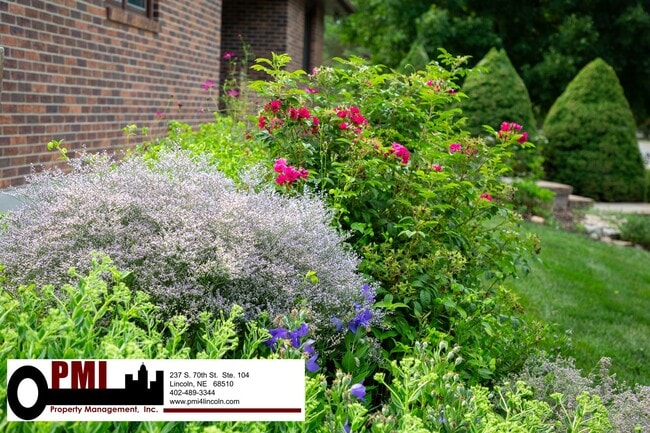 Building Photo - 3 Bedroom and 2 bathroom Colonial Hills House for rent!