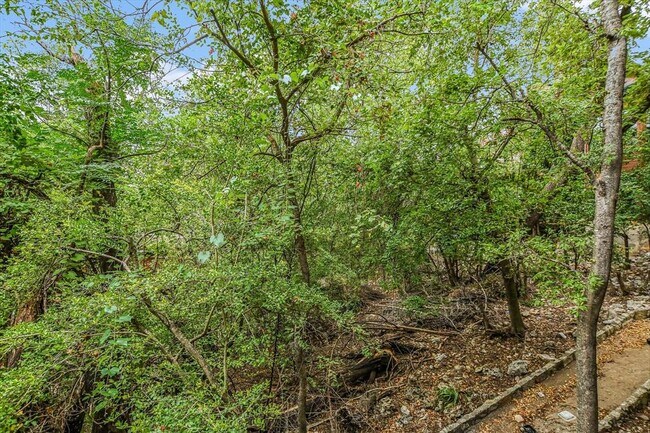 Building Photo - 4711 Spicewood Springs Rd