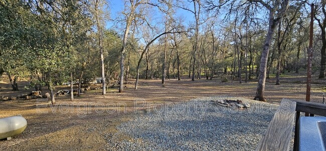 Building Photo - 2541 Deer Brush Ln