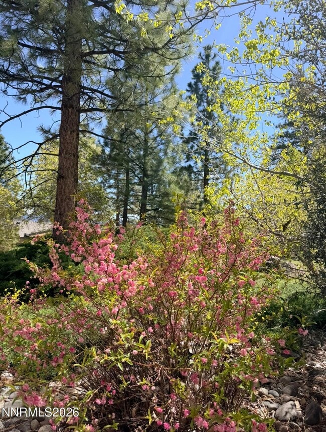 Building Photo - 16770 Mt Rose Hwy