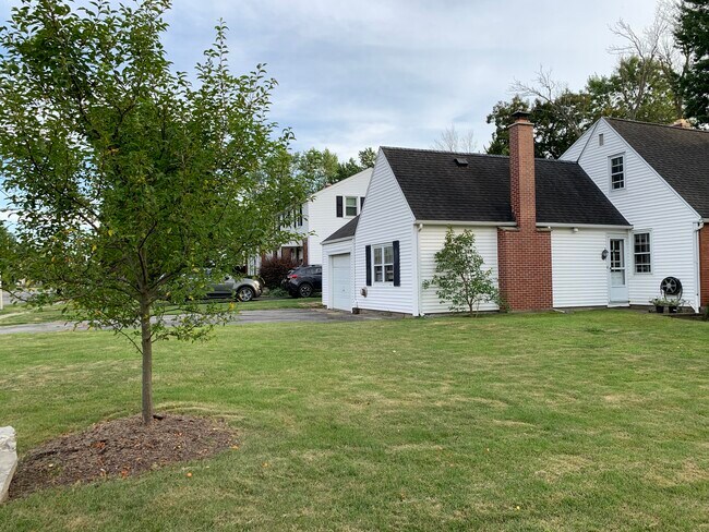 Safe location, beautiful neighborhood, closed to UB, Main St., 33, 290, 90. - 8 Dorchester Rd