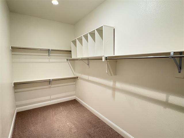 Building Photo - 3512 Thomas Earl Way