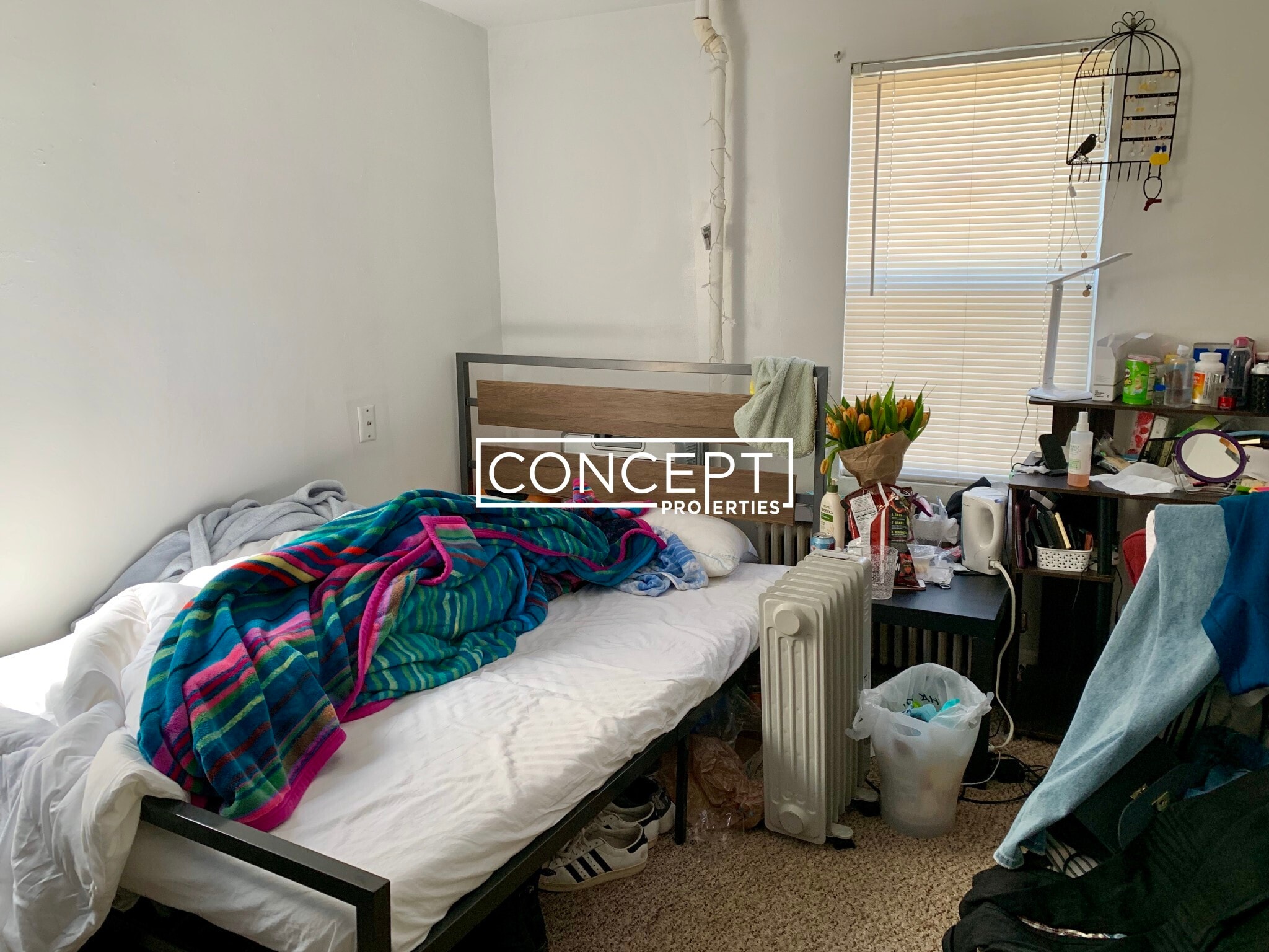 Building Photo - 10 Shepard St