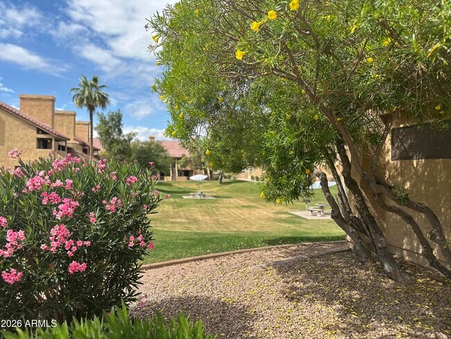 Building Photo - 4901 S Calle Los Cerros Dr