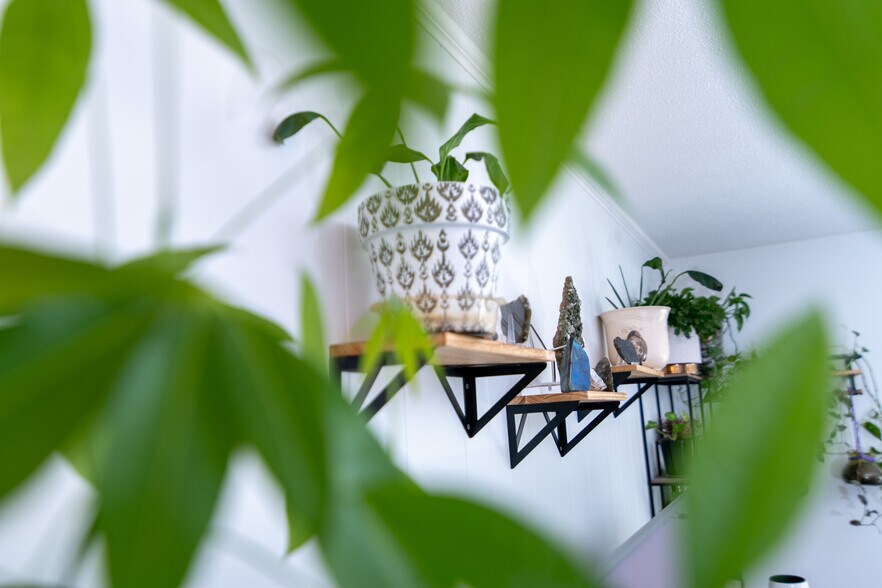 Building Photo - 1101 Kitt Pl