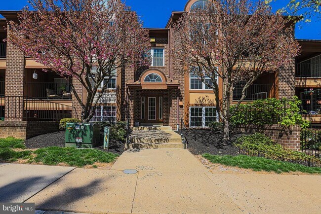 Primary Photo - 2107 Woodbox Ln