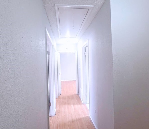 Building Photo - 10919 Pigeonwood Dr