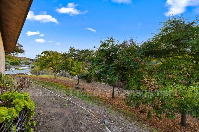 Building Photo - 8823 Los Coches Rd