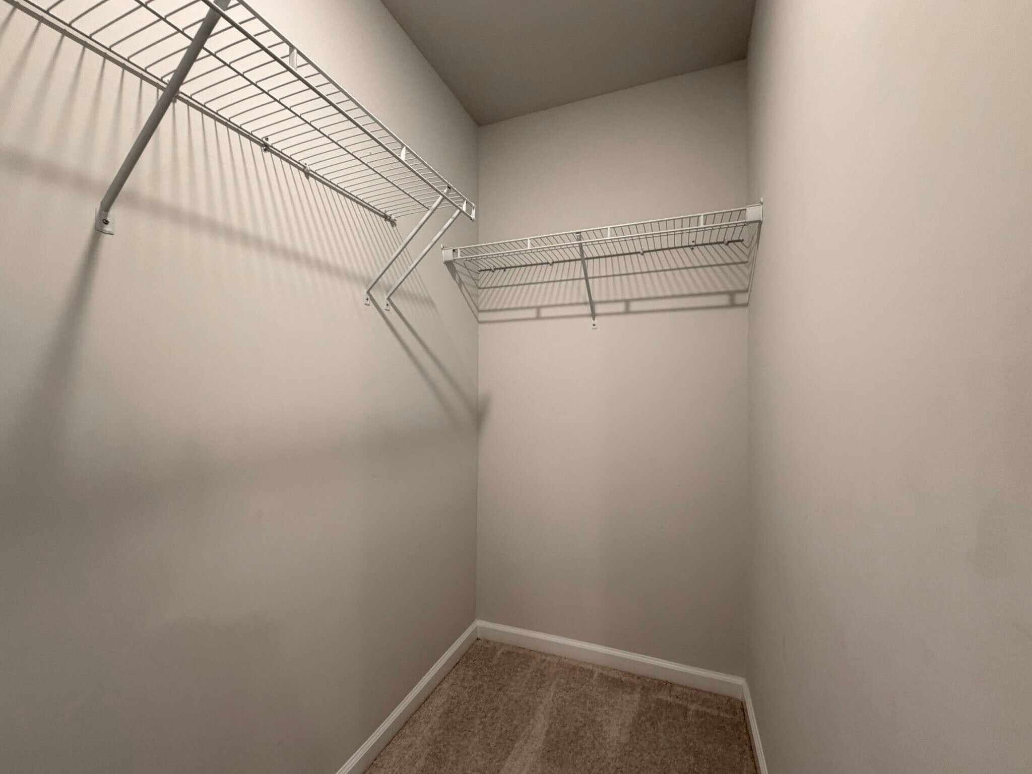 Building Photo - 196 Aster Bloom Ln