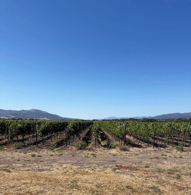 Building Photo - Spacious Two-Story Ranch Home Near Sonoma