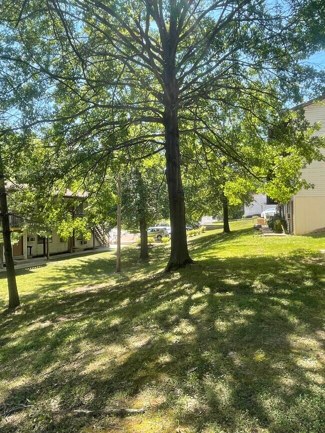 398 Ridge Ln 398 Ridge Ln Fenton MO 63026