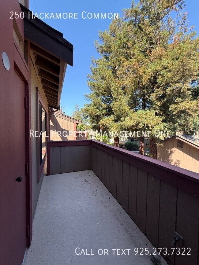 Building Photo - 250 Hackamore Common