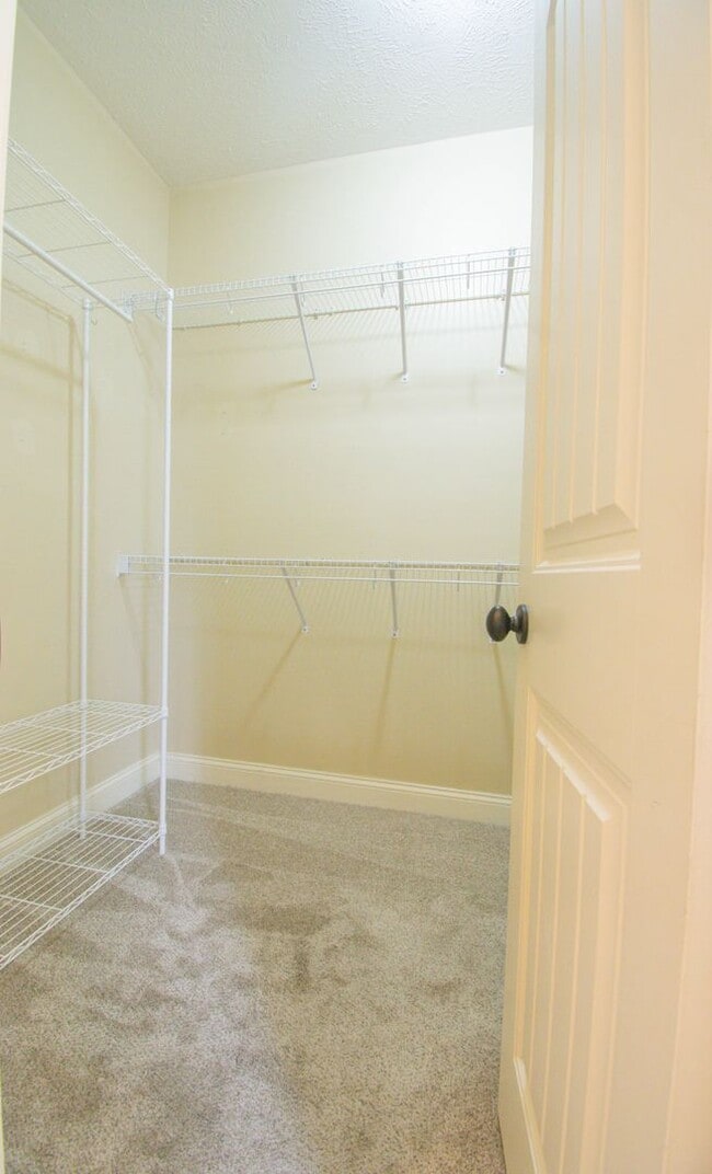 Building Photo - Available March 1! 4 Bedroom 2.5 Bathroom With Bonus and Screened in Porch!