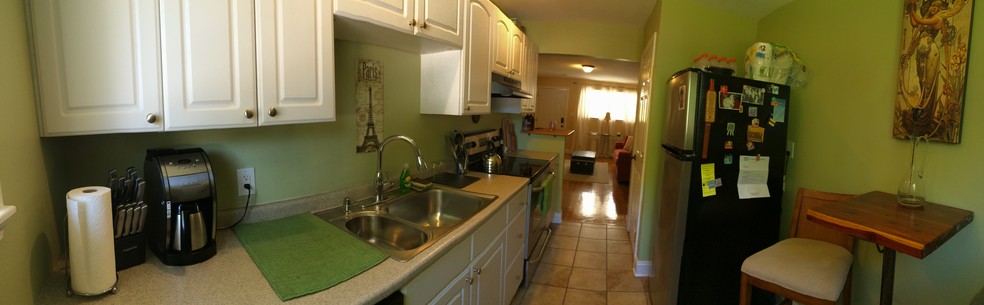 View from kitchen - 603 Maplewood Ave