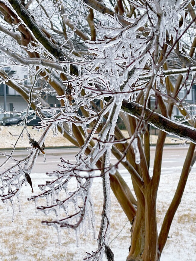 Building Photo - 7718 Royal Ln