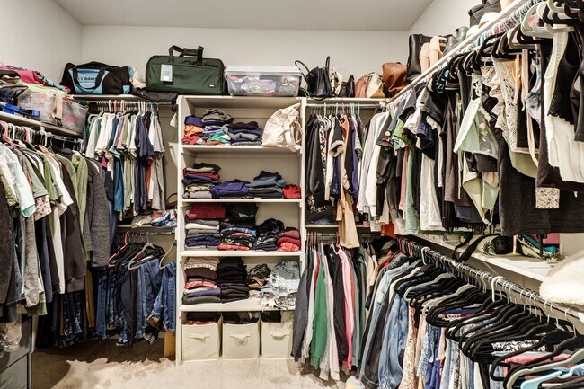 Building Photo - Beautiful 4-Bedroom, 3-Bath Home on a Quiet Cul-de-Sac in Woodland