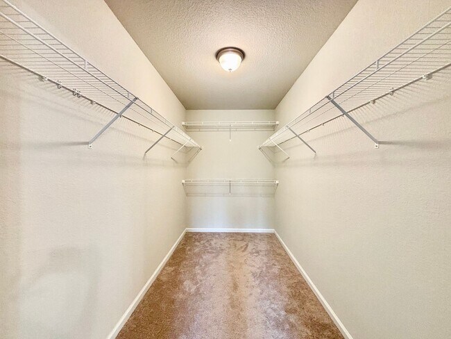 Building Photo - Beautiful 4 Bedroom Home In Chesapeake!