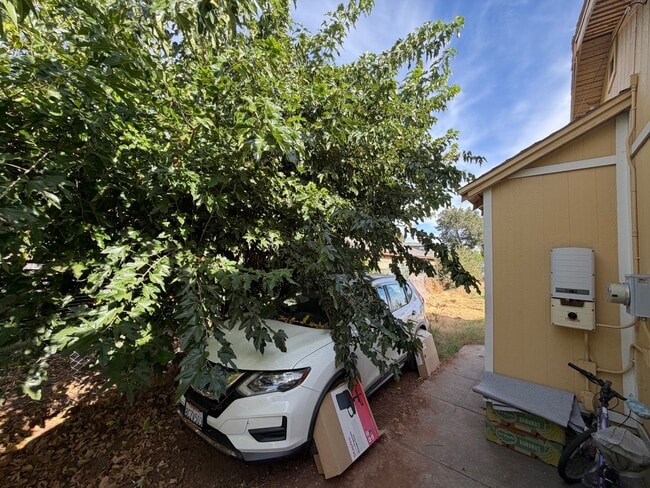 Building Photo - 1528 Los Robles Blvd