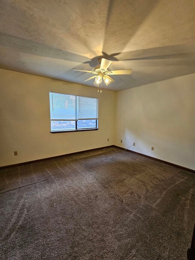 Building Photo - 196 Locke St