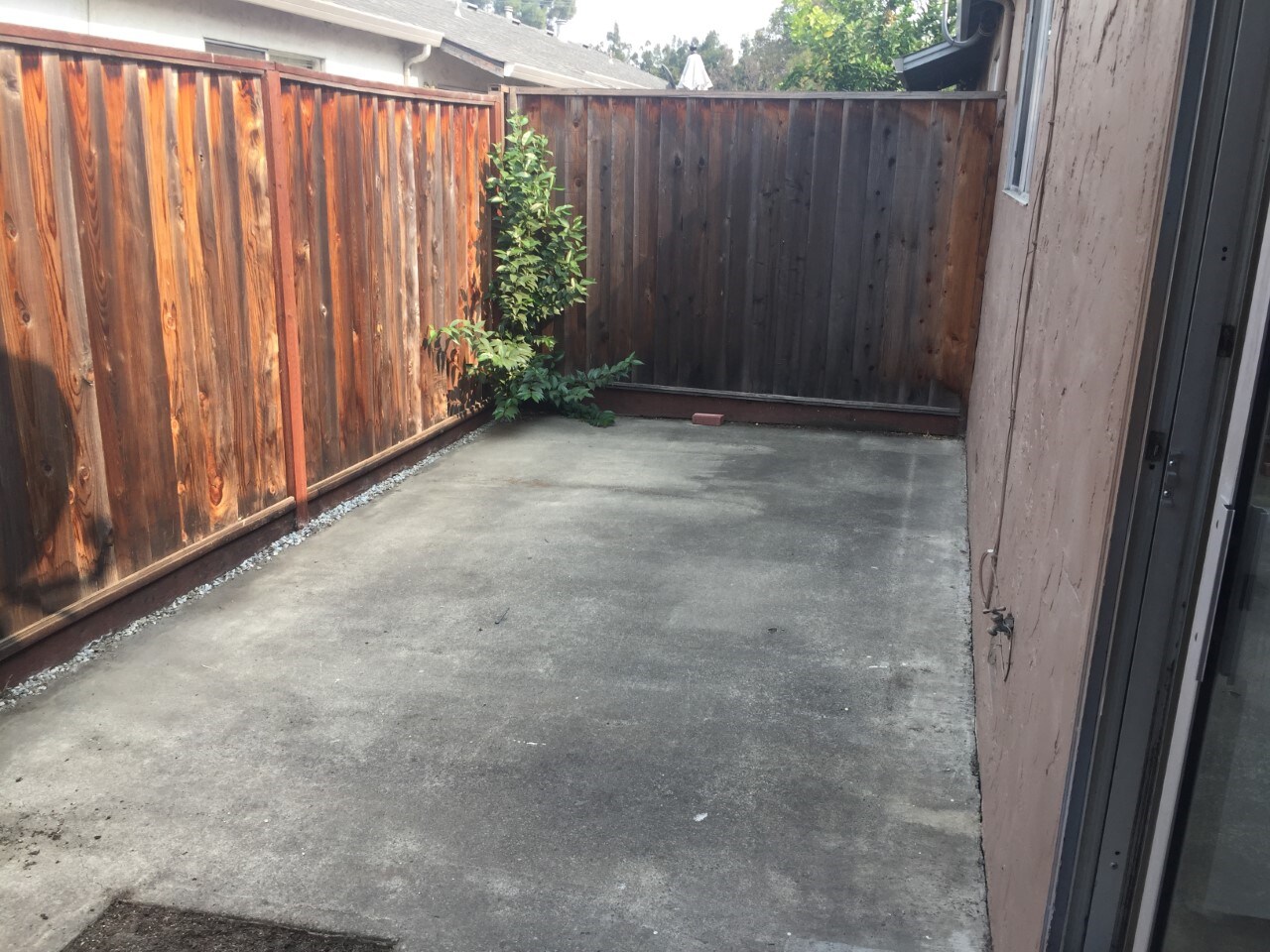 private back yard - 341 Easy St