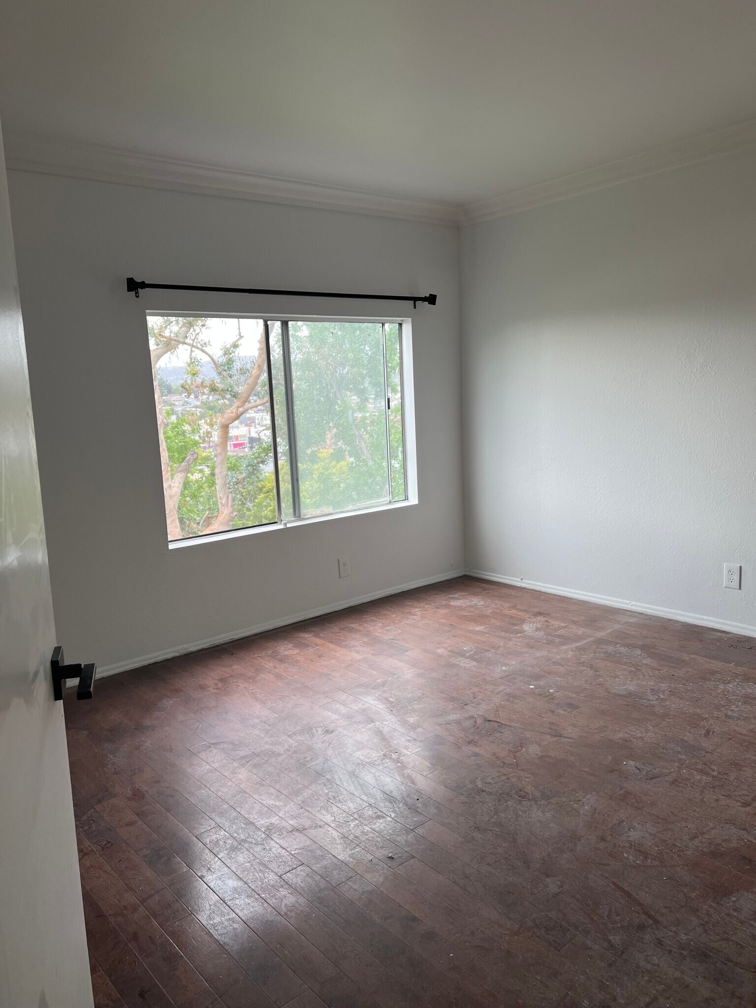 Building Photo - 1101 Laveta Terrace