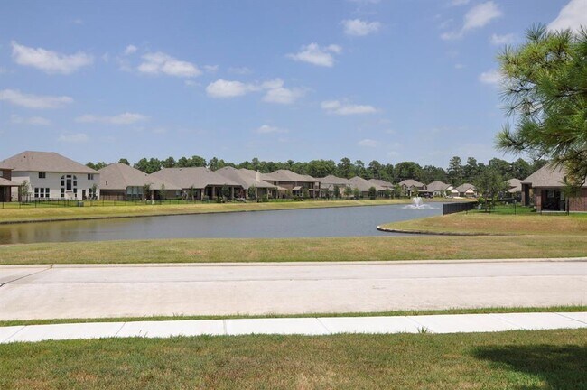 Building Photo - 4511 Haviland Falls Dr