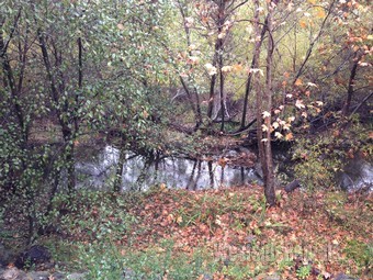 View from private wooden deck overlooking creek. - 85 Sherwood Dr
