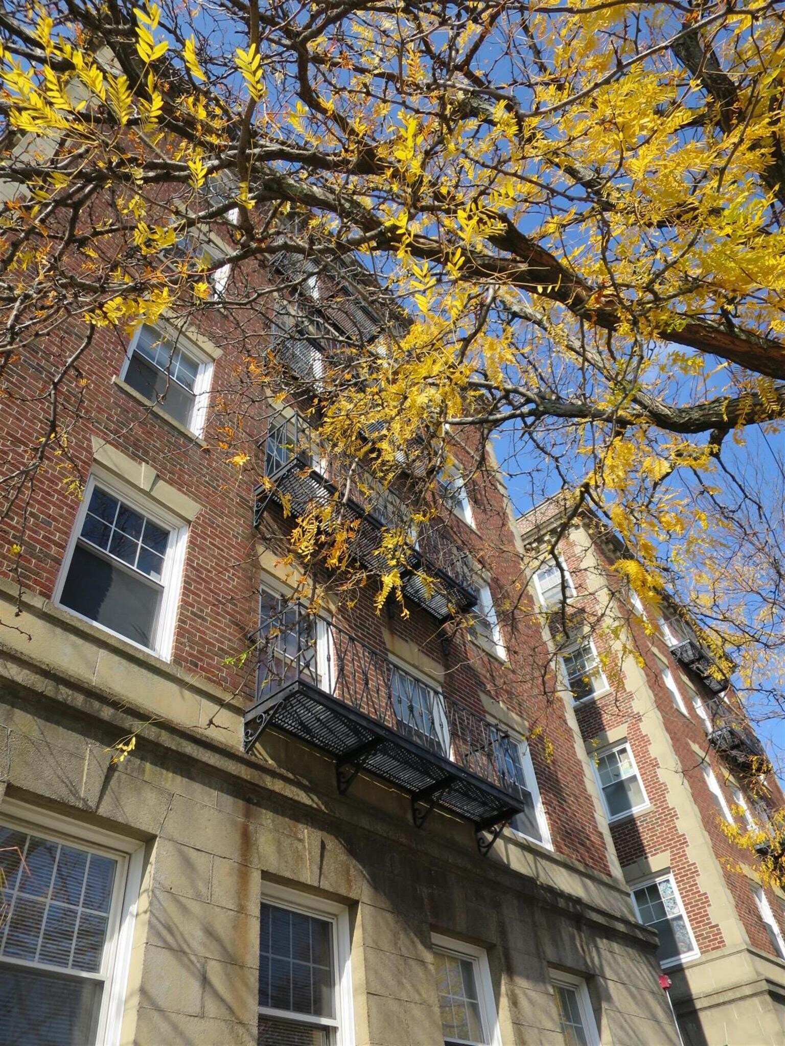 Building Photo - 32 College Ave