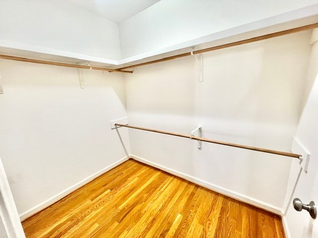 Building Photo - 606 Trillium Ct