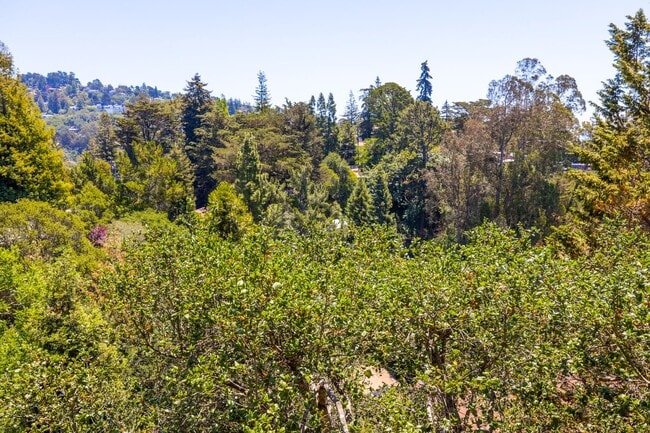 Building Photo - Beautiful Home in the Oakland Hills with v...