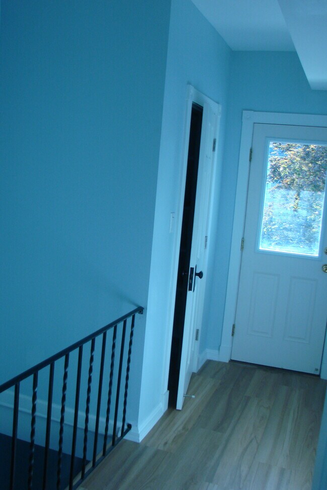 Hallway closet and front porch door - 713 Orchard St